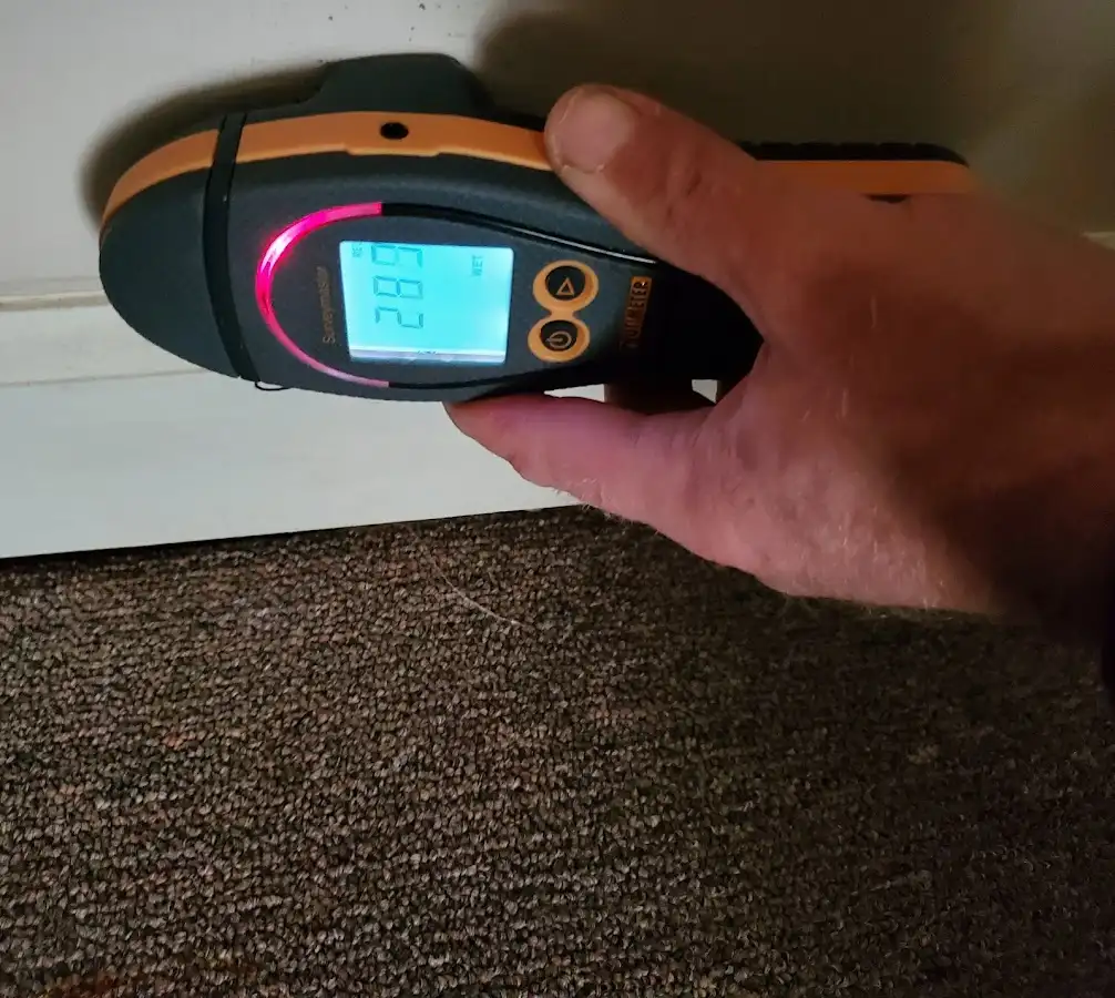 Moisture detection at baseboard during Sewage Cleanup & Sanitation in Weirton